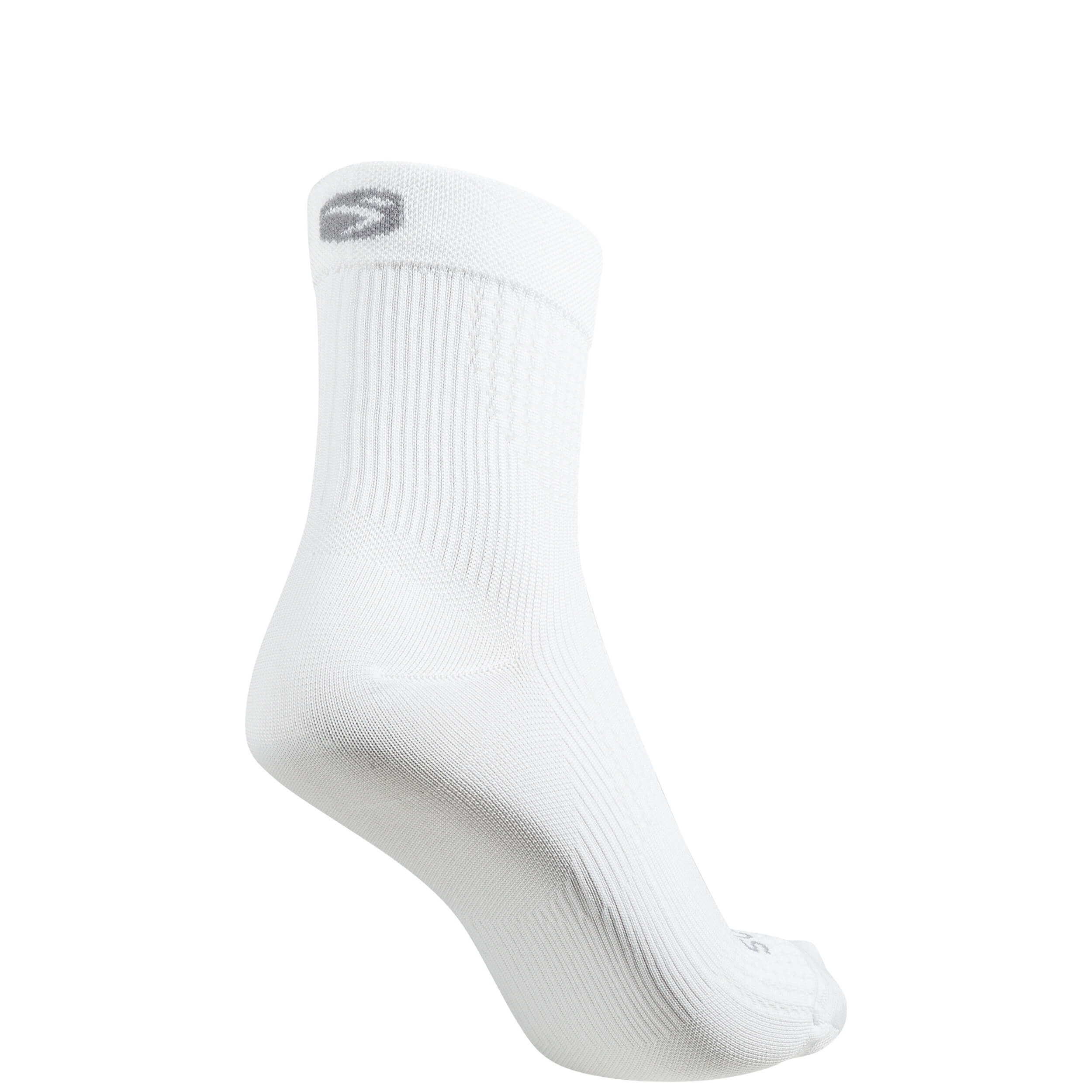 Evolution Socks - Image 4